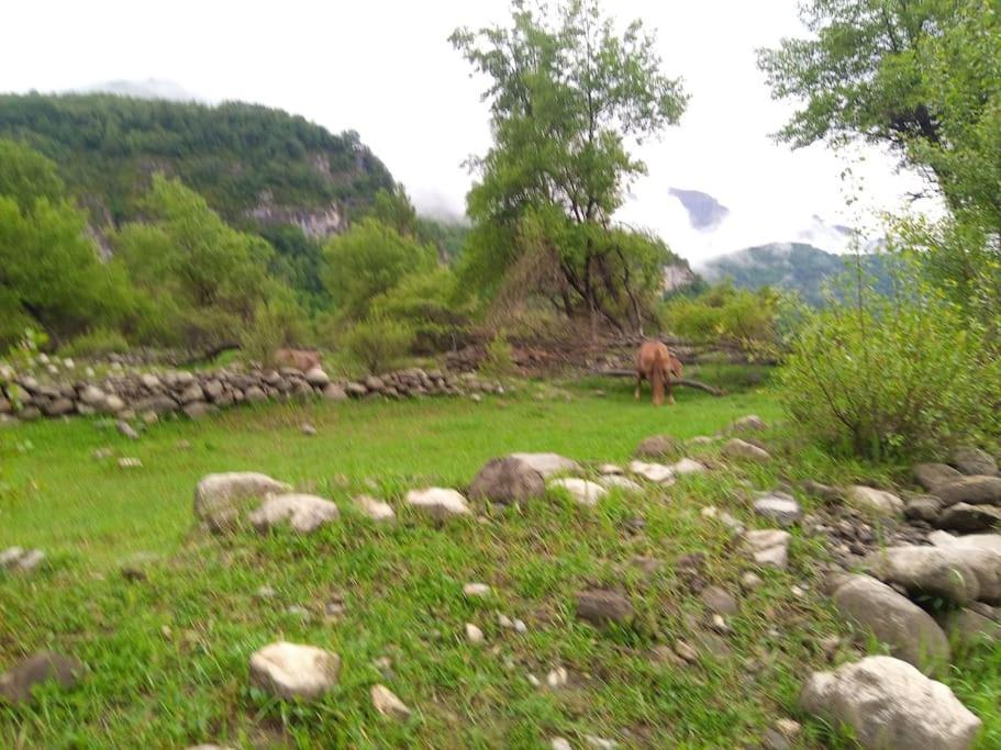 Апартаменти Atico En Pleno Pirineo Ел-Пуейо-де-Яка Екстер'єр фото